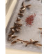 Anti Cockroach Product 12 PCS Cockroach Traps Stuck | Powerful anti cockroaches no