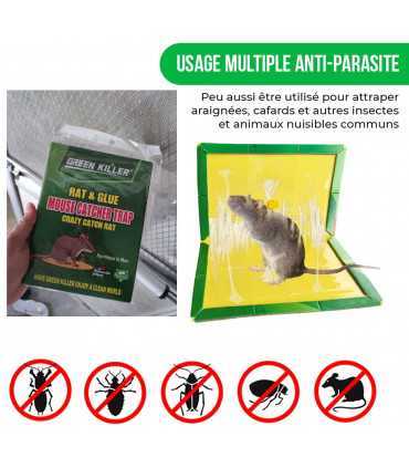 Anti Kakerlake Klebrige Platten, 12 Stück Rattenfalle, Maus