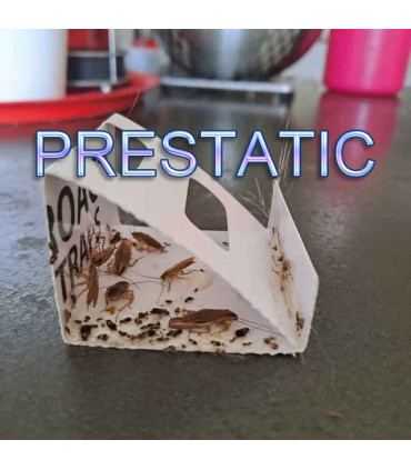 Sticky Cockroach Traps | Powerful Anti Cockroaches - 24 PCS